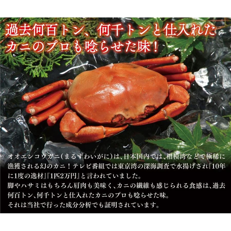 かに カニ 蟹 まるずわいがに 1kg 訳あり オオエンコウガニ おおえんこうがに マルズワイガニ 丸ズワイガニ 年末年始予約も受付中 :33k:カニパラダイス - 通販 - Yahoo!ショッピング かに カニ 蟹 まるずわいがに 1kg 訳あり オオエンコウガニ おおえんこうがに マルズワイガニ 丸ズワイガニ 年末年始予約も受付中 :33k:カニパラダイス - 通販 - Yahoo!ショッピング