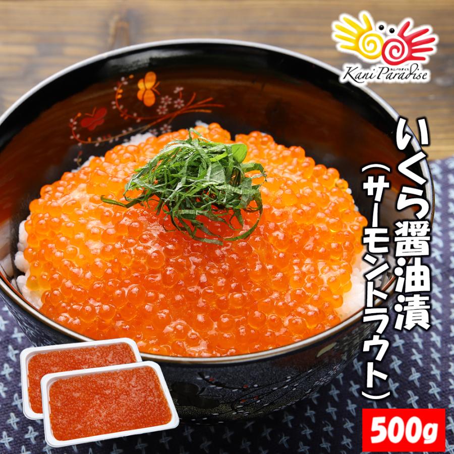 いくら イクラ 醤油漬 （ サーモントラウト 卵 ） 500g（250g×2パック