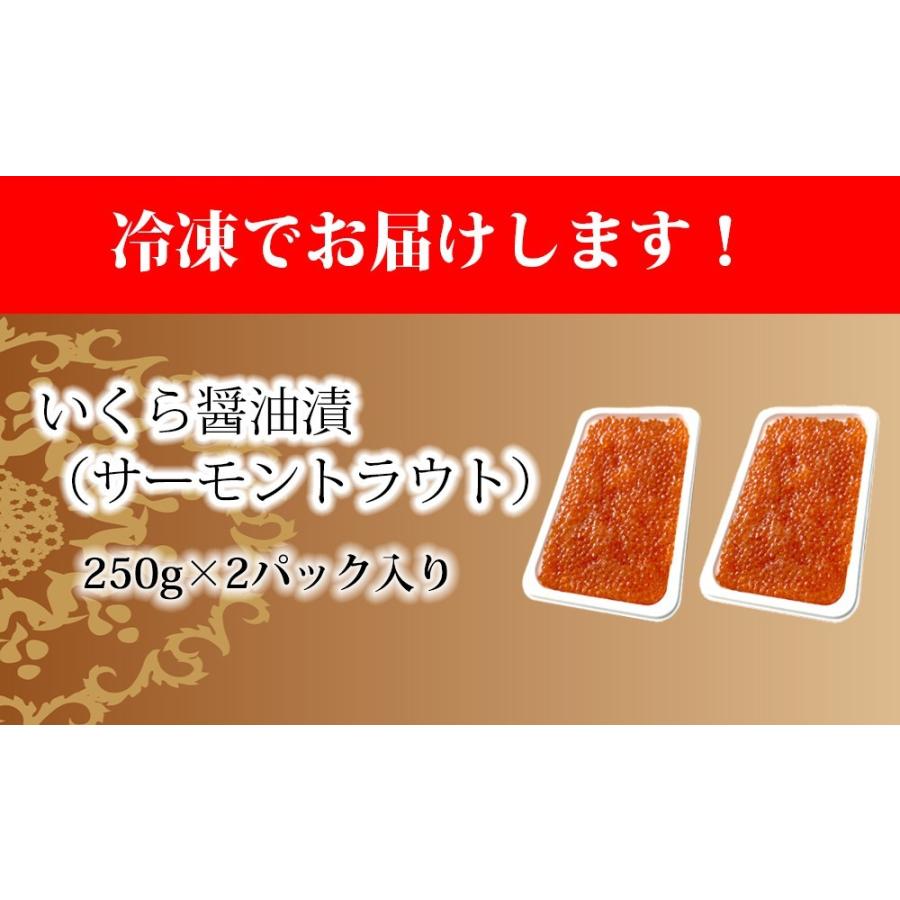 いくら イクラ 醤油漬 （ サーモントラウト 卵 ） 500g（250g×2パック入り）  小粒 海鮮 丼 手巻き 母の日 父の日 プレゼント ギフト｜kanipara｜12