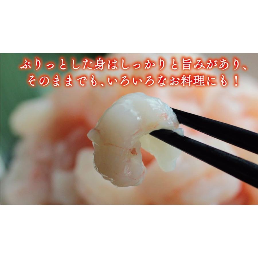 甘えび むき身 500g あまえび アマエビ 甘エビ 甘海老 ぐるむき グルムキ 刺身 生食 海鮮丼 Un 004a カニパラダイス 通販 Yahoo ショッピング
