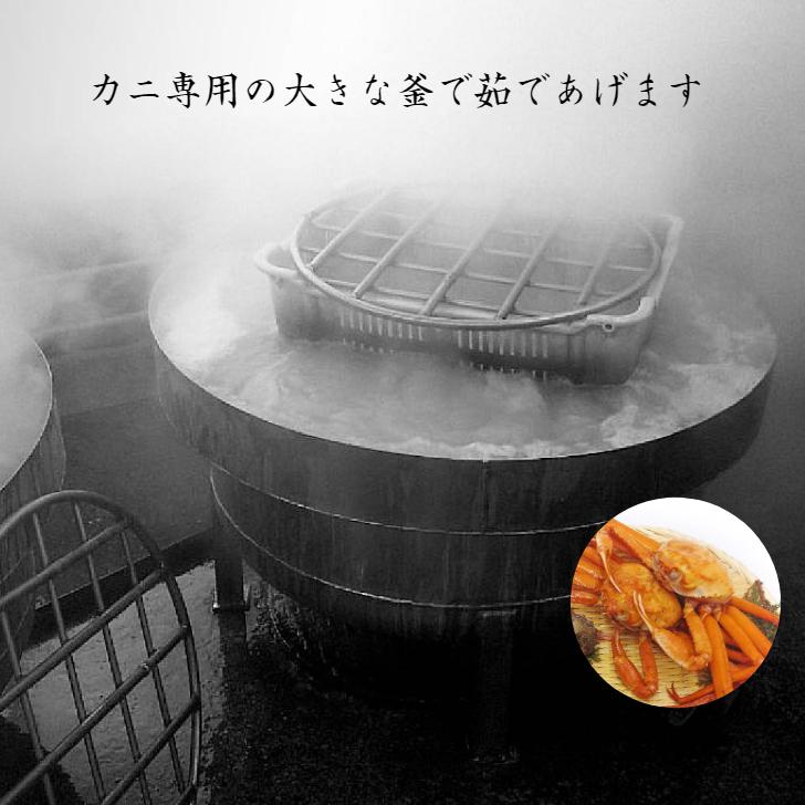 カニ 紅ズワイガニ 香住ガニ 姿 ボイル 5枚 香住蟹 かに 蟹 訳あり 紅ずわいがに 紅ズワイ 紅カニ 360g 茹でカニ 浜茹で 釜茹で 紅蟹の画像