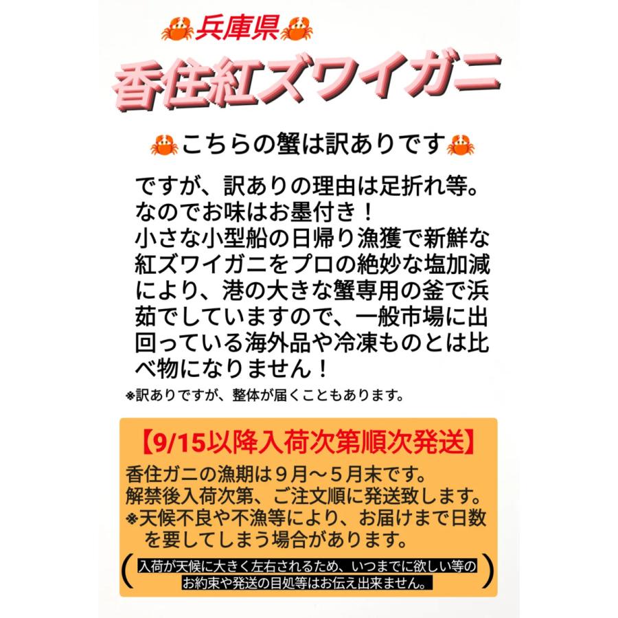 カニ 紅ズワイガニ 香住ガニ 姿 ボイル 5枚 香住蟹 かに 蟹 訳あり 紅ずわいがに 紅ズワイ 紅カニ 360g 茹でカニ 浜茹で 釜茹で 紅蟹の画像