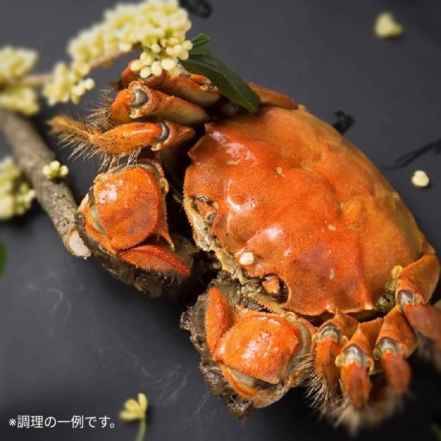 予約】 モクズガニ オス 大サイズ 5〜6匹 1kg〜 天然 活 生 上海