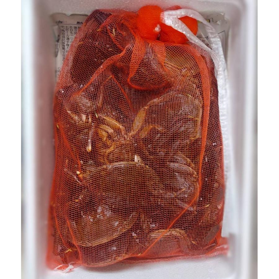 【予約】モクズガニ 小サイズ 15匹前後 1kg〜 混合 天然 活 生 上海ガニ 上海蟹 モクズ蟹 国産 藻屑蟹 藻くずガニ 川蟹 ツガニ ケガニ 川ガニ ヤマタロウガニ |  | 04
