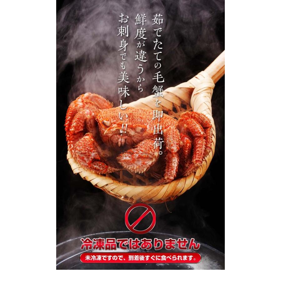 北海道産 活毛ガニ 500g 中型 毛ガニの美味しさを味わうなら 北海道産 活毛ガニ 500g 中型 毛ガニの美味しさを味わうなら