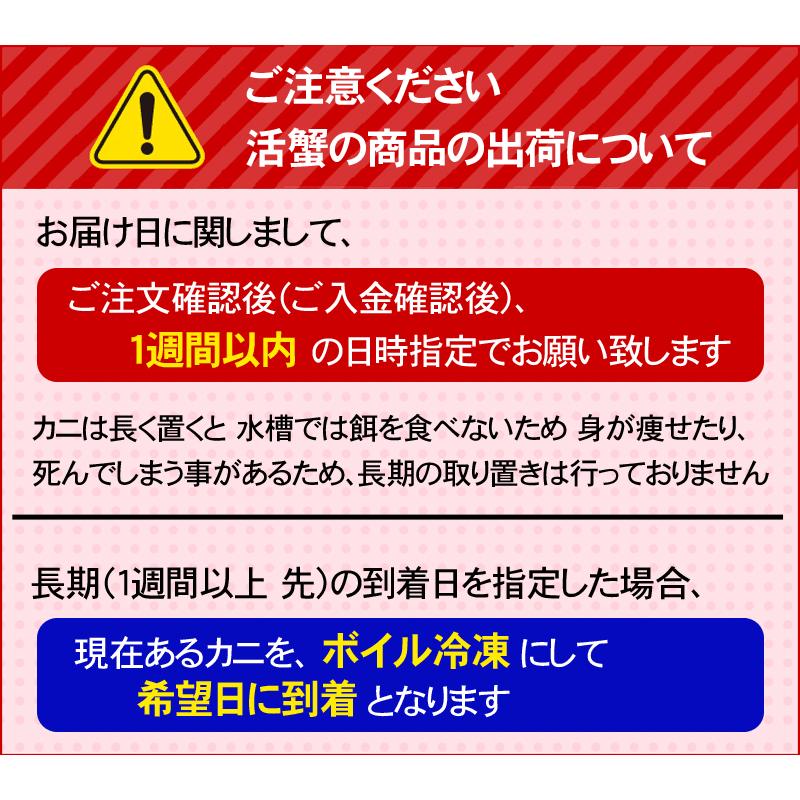 特大サイズ) 北海道産 活毛蟹 800g前後 毛ガニの美味しさを味わうなら
