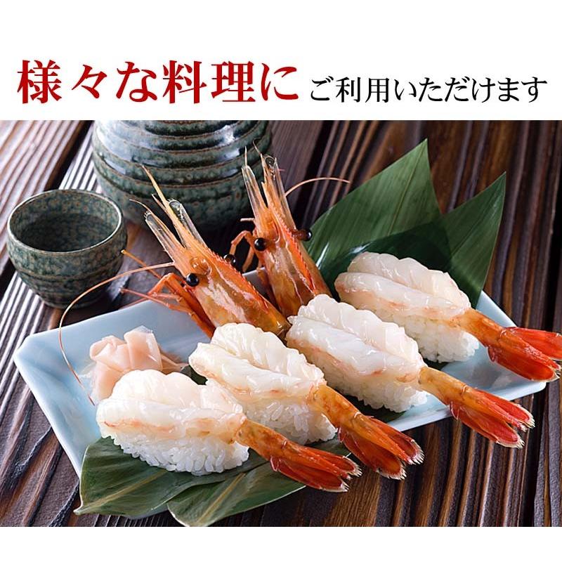 子持ち ボタンエビ冷凍 Mサイズ 500g 8 13尾入り 卵入り ぼたんえび 海老味噌も絶品 お刺身 ギフト かに太郎 通販 Yahoo ショッピング