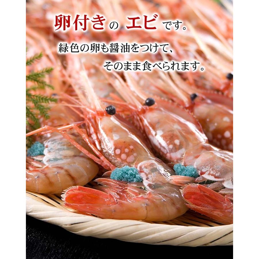 子持ち ボタンエビ冷凍　Mサイズ 500g(10〜13尾入り) 卵入り、ぼたんえび。海老味噌も絶品。お刺身(ギフト)｜kanitaro｜06