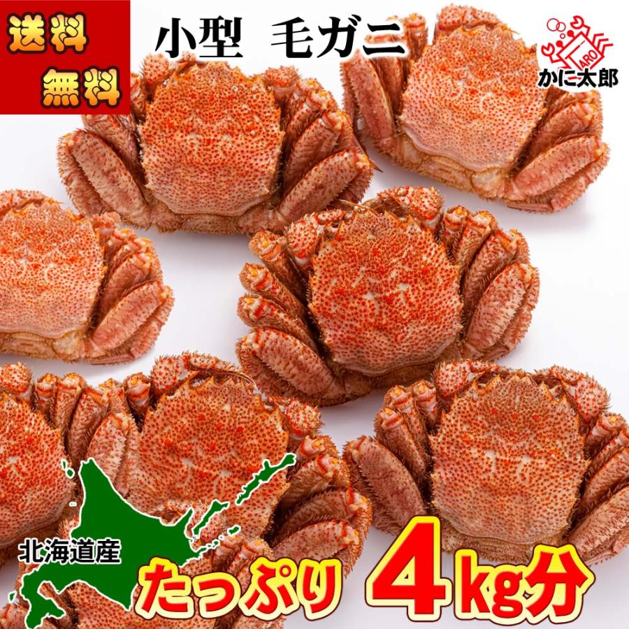 送料無料 毛蟹  11尾から14尾入りで、合計4ｋｇ前後　ボイル冷凍　毛ガニ 1尾の280ｇ〜360ｇの小型サイズ 毛がに 食べ放題 北海道 カニ味噌 かに 通販 カニ | ブランド登録なし