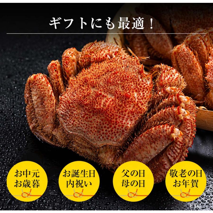 送料無料 毛蟹  11尾から14尾入りで、合計4ｋｇ前後　ボイル冷凍　毛ガニ 1尾の280ｇ〜360ｇの小型サイズ 毛がに 食べ放題 北海道 カニ味噌 かに 通販 カニ | ブランド登録なし | 11