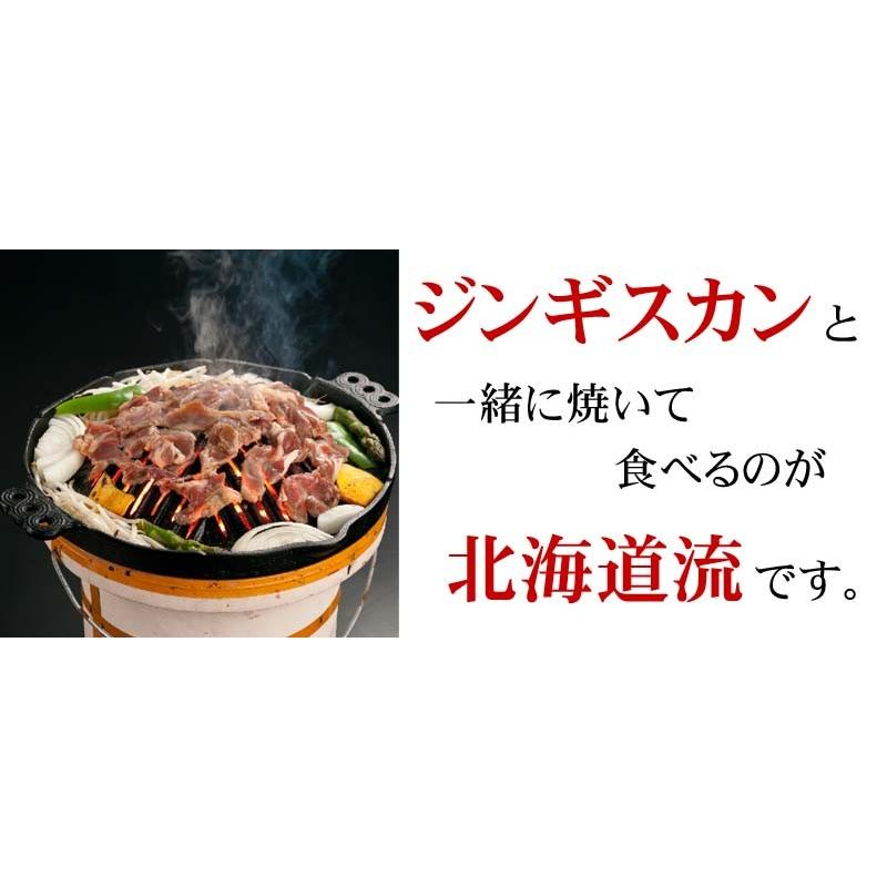 送料無料 春山菜 野菜 行者にんにく アイヌネギ 500g 北海道産