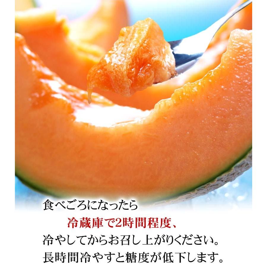 送料無料) 北海道産 赤肉メロン 2.0kg×2玉入り(大玉サイズ)甘く 送料無料) 北海道産 赤肉メロン 2.0kg×2玉入り(大玉サイズ)甘く