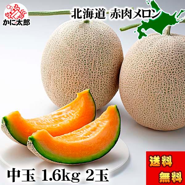 北海道 メロン 赤肉メロン 北海道産 贈答 お中元 送料無料 送料無料 北海道産 赤肉メロン 1.6kg前後×2玉入り(中玉サイズ) 北海道