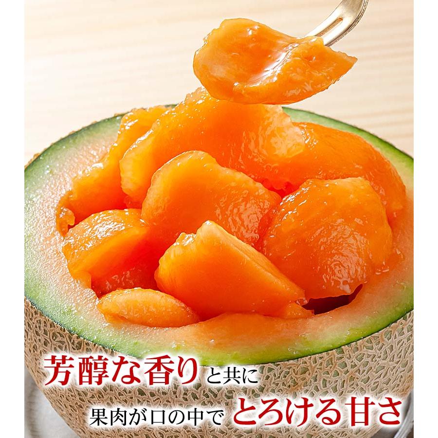 高級アールスメロン　赤肉　6玉　5000円 先行予約】【赤肉】アールスメロン 2玉（約3.2kg以上）赤肉品種 高級