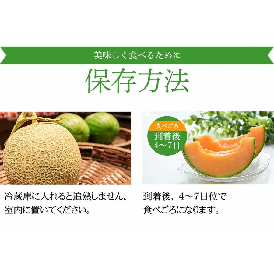 送料無料 北海道産 赤肉メロン 1.6kg前後×2玉入り(中玉サイズ) 北海道