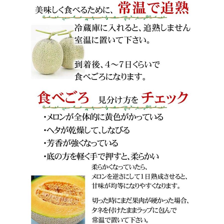 オレンジシュガーメロン　6個　12キロ前後 オレンジシュガーメロン 6個 12キロ前後 オレンジシュガーメロン 6個