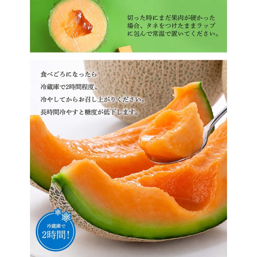 北海道 メロン 赤肉メロン 北海道産 贈答 お中元 送料無料 送料無料 北海道産 赤肉メロン 1.6kg前後×2玉入り(中玉サイズ) 北海道
