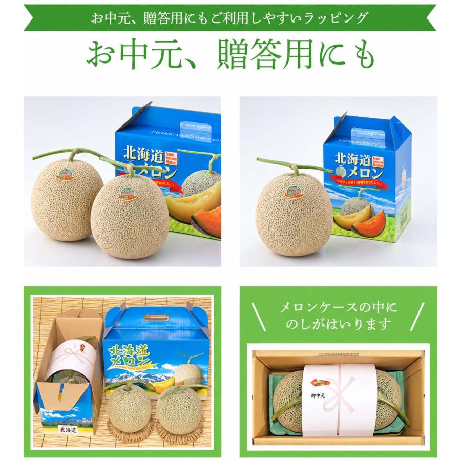 送料無料 北海道産 赤肉メロン 1.6kg前後×2玉入り(中玉サイズ) 北海道