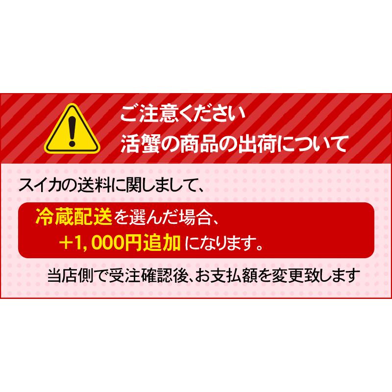 送料無料 でんすけすいか 秀品 4L 大型 9kg　北海道産 当麻 デンスケスイカ 伝助 田助 西瓜 スイカ すいか フルーツ 果物 お中元 ギフト 爆買 | ブランド登録なし | 01