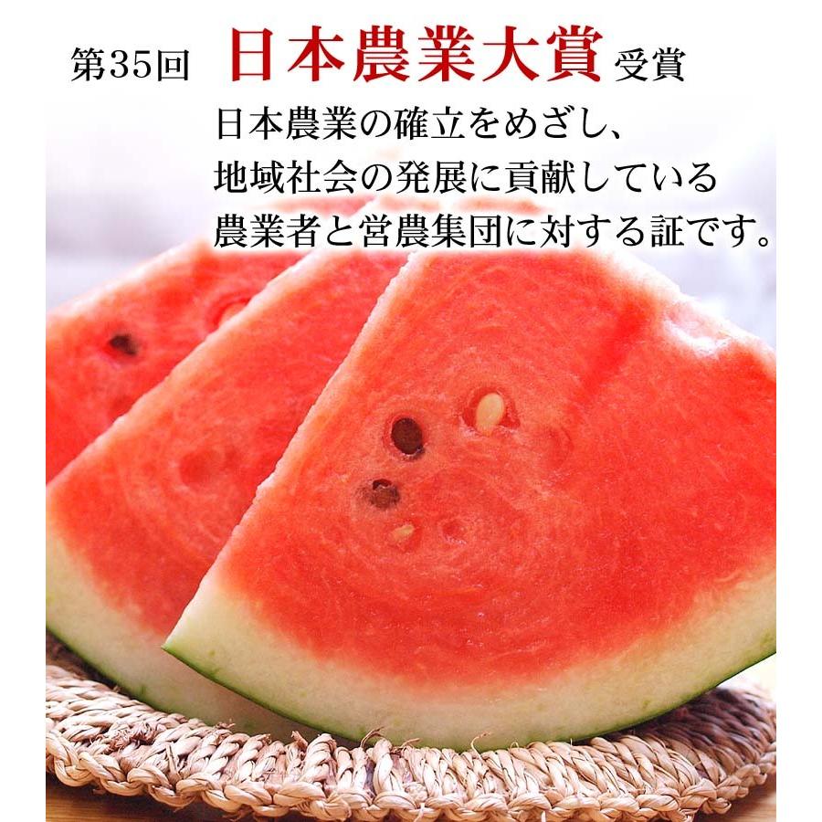 送料無料 でんすけすいか 秀品 4L 大型 9kg 北海道産 当麻 デンスケ