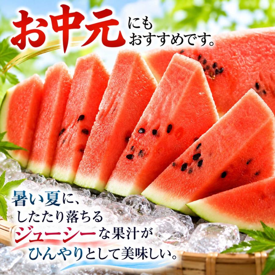2027年度予約商品 送料無料 でんすけすいか 秀品 4L 大型 9kg 北海道産