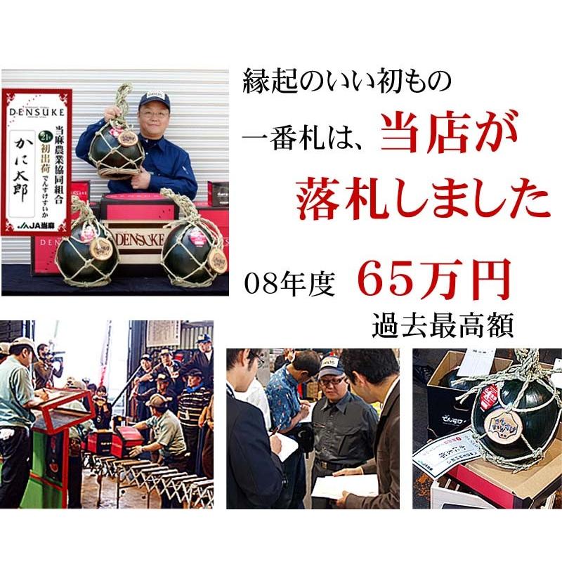 送料無料 でんすけすいか 秀品 4L 大型 9kg　北海道産 当麻 デンスケスイカ 伝助 田助 西瓜 スイカ すいか フルーツ 果物 お中元 ギフト 爆買 | ブランド登録なし | 05
