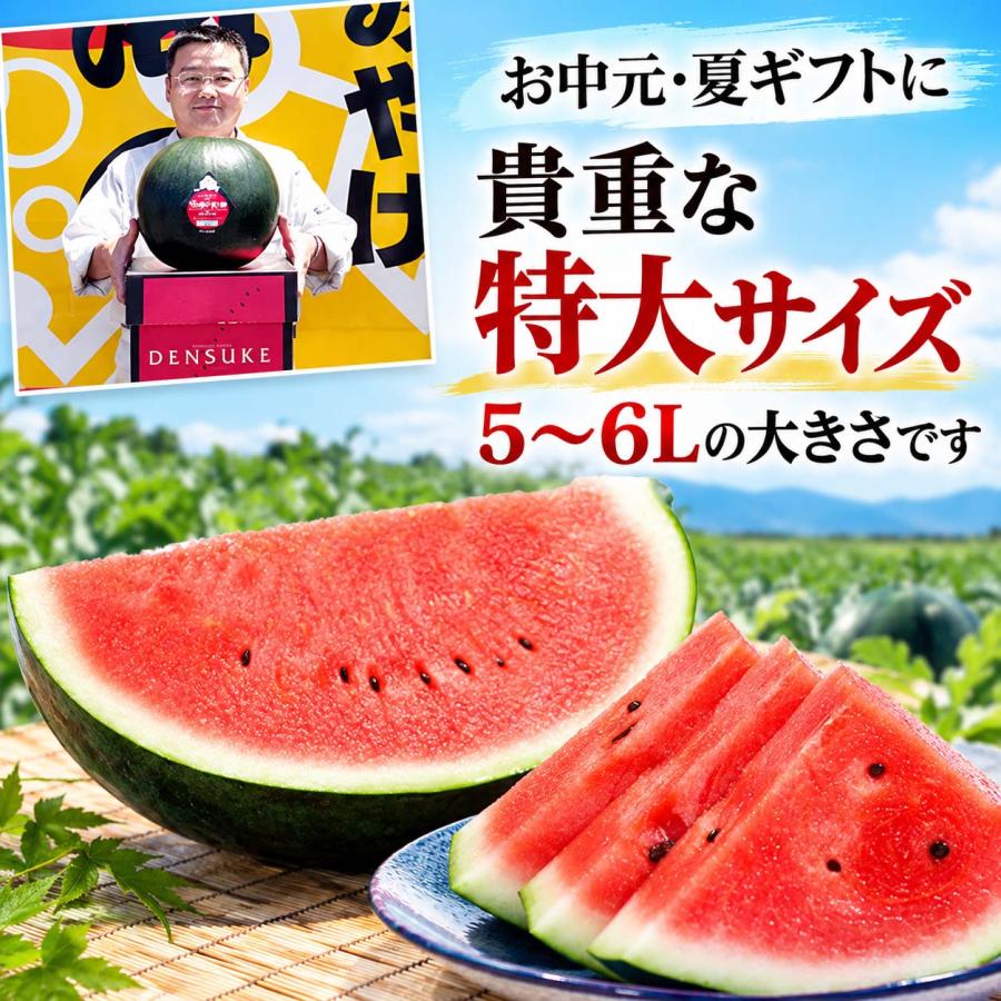 2027年度予約商品 送料無料 特大 でんすけすいか 秀品 5L 10kg 北海道