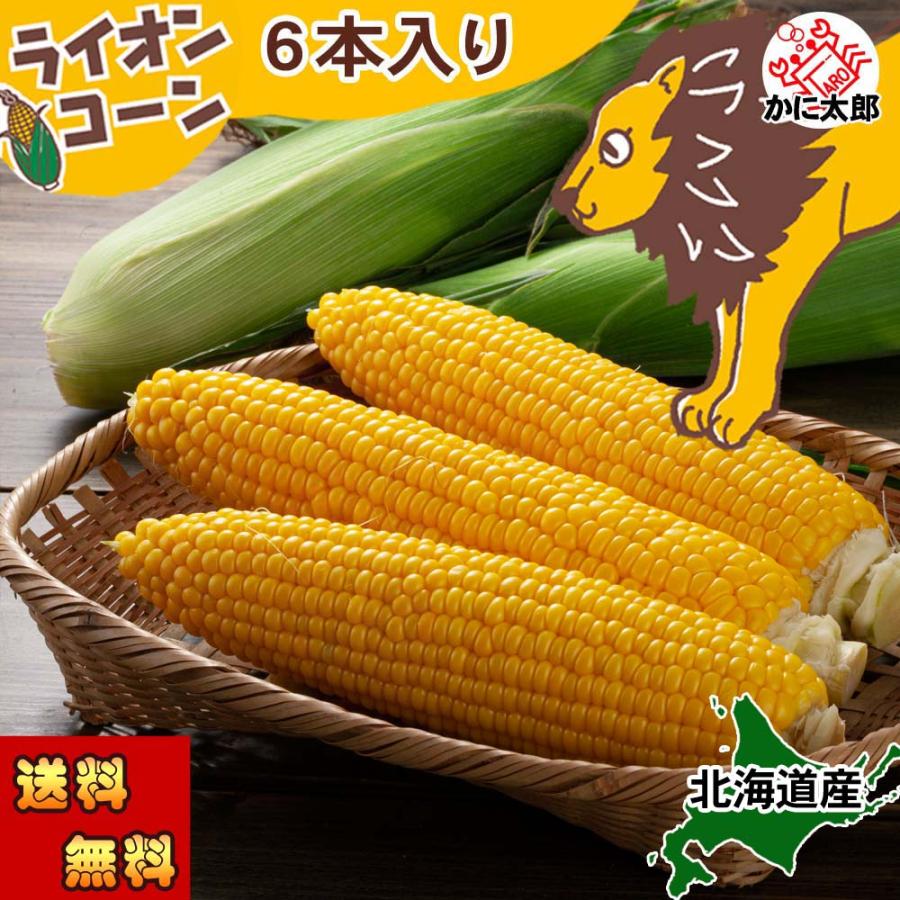 予約商品 送料無料 黄色種 とうもろこし ライオンコーン 6本入り