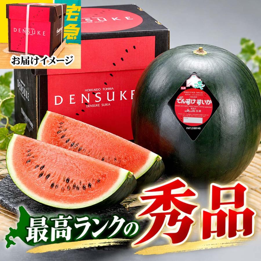 2027年度予約商品 送料無料 巨大 でんすけすいか 秀品 6L 11kg以上