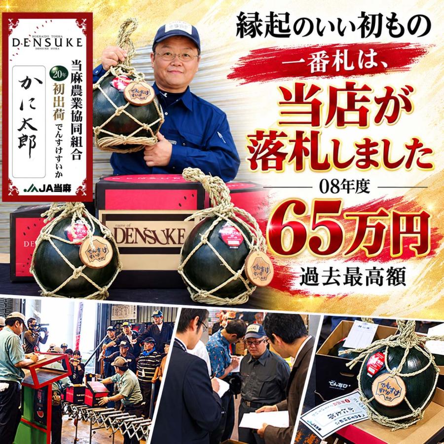 2027年度予約商品 送料無料 巨大 でんすけすいか 秀品 6L 11kg以上