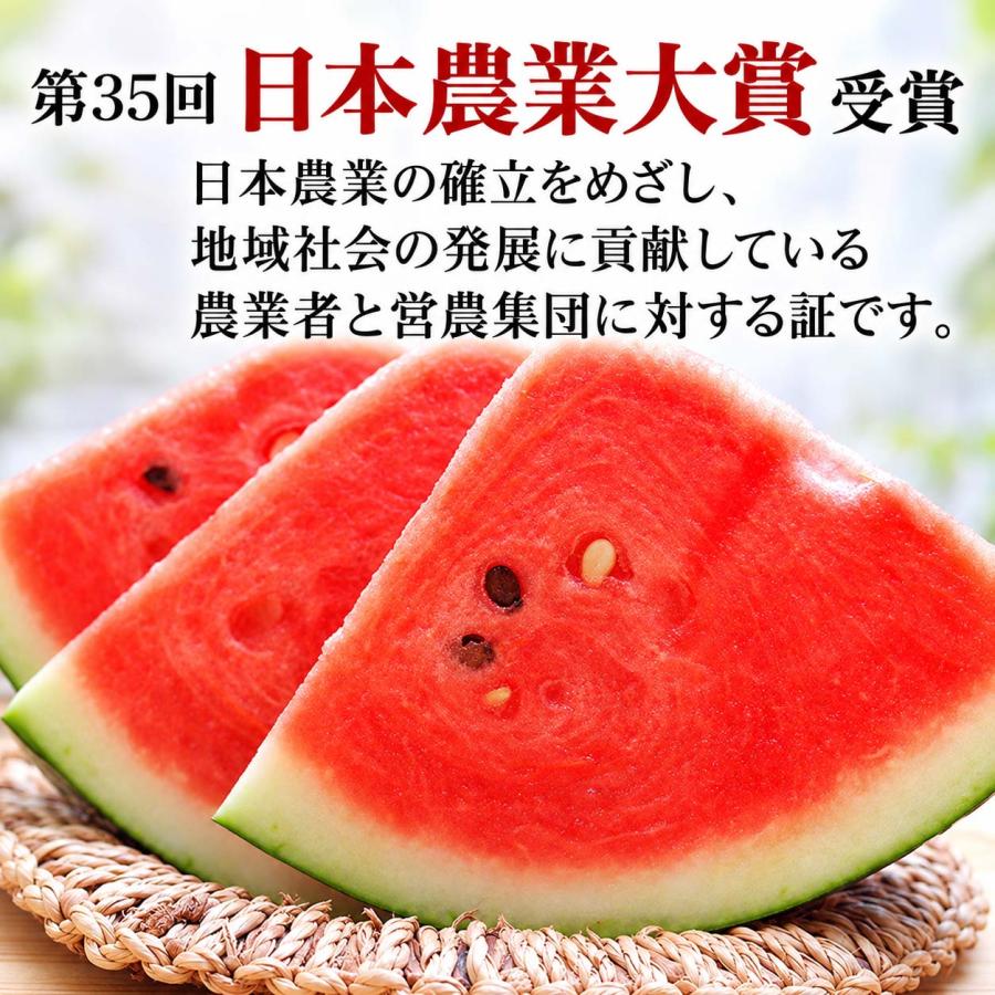 2027年度予約商品 送料無料 巨大 でんすけすいか 秀品 6L 11kg以上