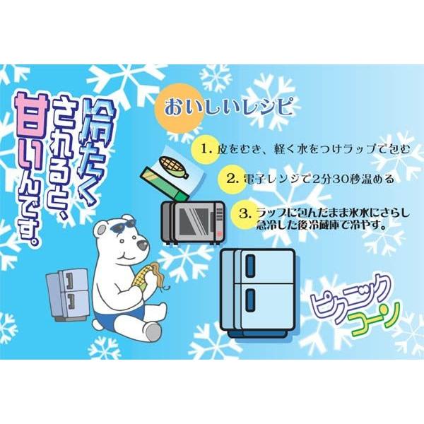 予約商品 送料無料 ピクニックコーン 小型 とうもろこし 11〜13本入り