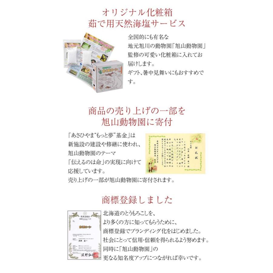 予約商品 送料無料 白い とうもろこし　白くまコーン　10本入り 北海道 トウモロコシ スイートコーン ホワイトコーン 野菜 とうきび なんば コーン 通販 爆買 | ブランド登録なし | 10