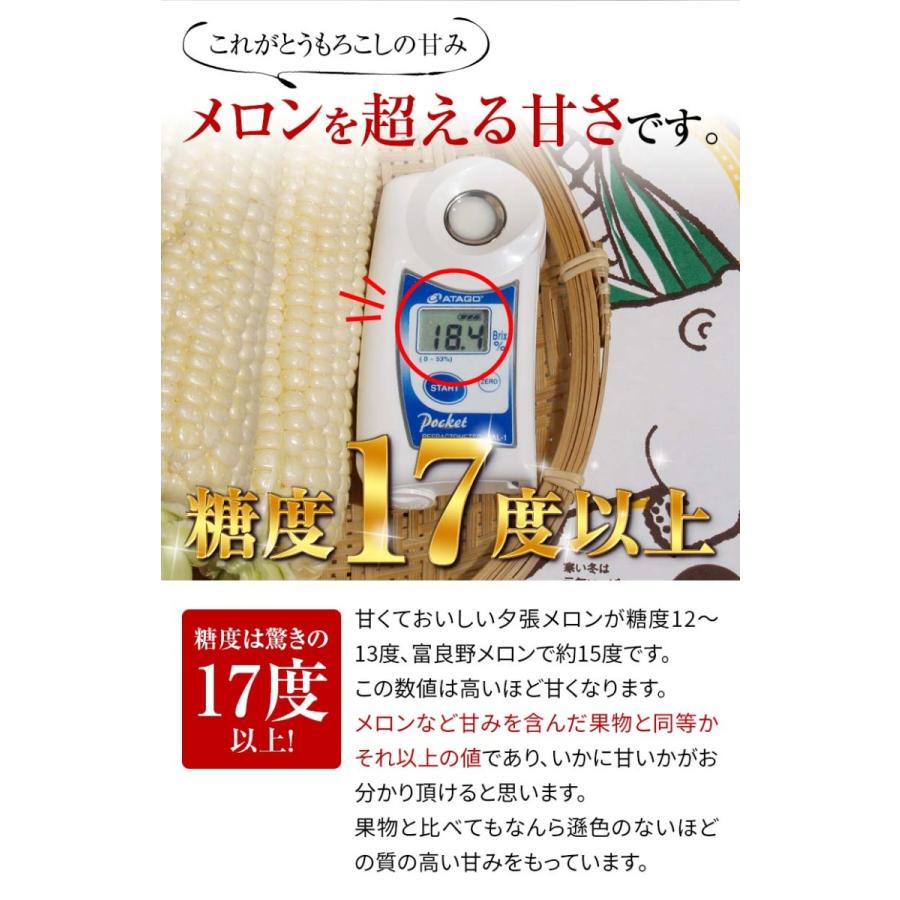 予約商品 送料無料 白い とうもろこし　白くまコーン　10本入り 北海道 トウモロコシ スイートコーン ホワイトコーン 野菜 とうきび なんば コーン 通販 爆買 | ブランド登録なし | 01