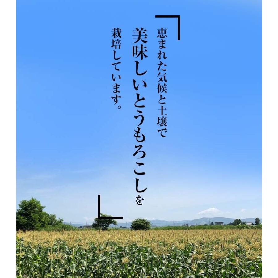 2022年度8月配送 早期予約 送料無料 白いとうもろこし 白くまコーン 10本入り 生食 北海道産スイートコーン 朝もぎ生とうきびお取り寄せ 10186 かに太郎 通販 Yahoo ショッピング