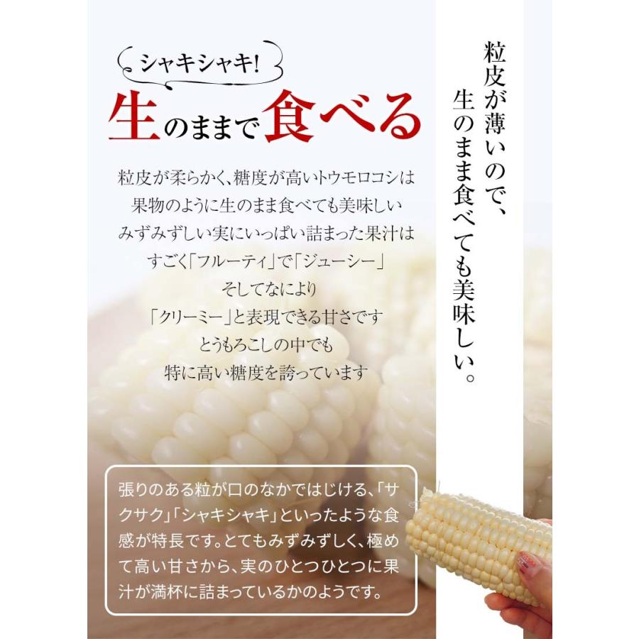 予約商品 送料無料 白い とうもろこし　白くまコーン　10本入り 北海道 トウモロコシ スイートコーン ホワイトコーン 野菜 とうきび なんば コーン 通販 爆買 | ブランド登録なし | 07