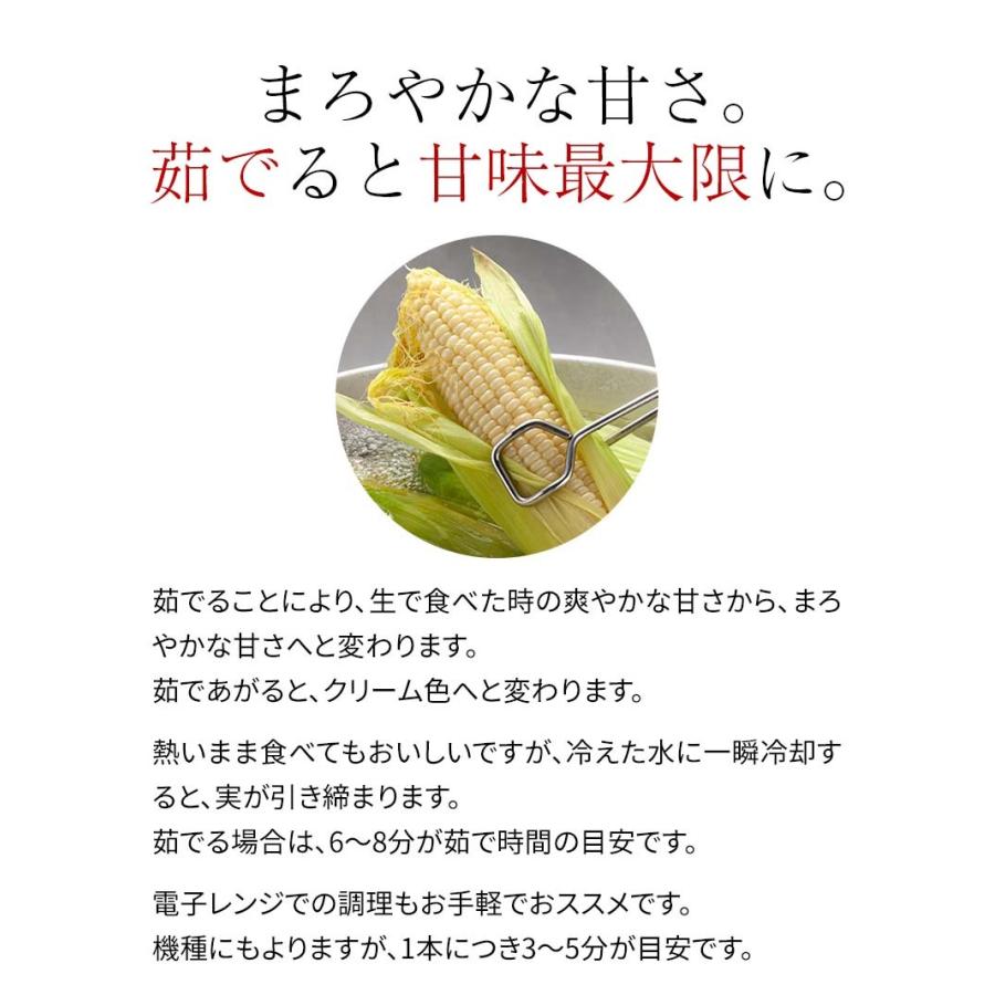 (送料無料)白いとうもろこし 白くまコーン 10本入り　生食 北海道産スイートコーン 朝もぎ生とうきびお取り寄せ｜kanitaro｜09