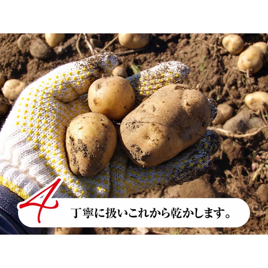 予約商品 送料無料 北海道産 じゃがいも インカのめざめ 4kg(新じゃが