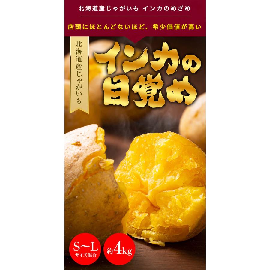 予約商品 送料無料 北海道産 じゃがいも インカのめざめ 4kg(新じゃが