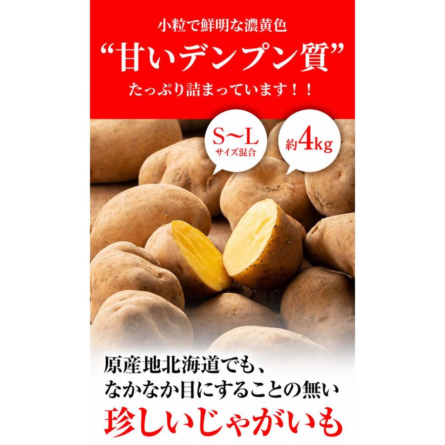 予約商品 送料無料 北海道産 じゃがいも インカのめざめ 4kg(新じゃが