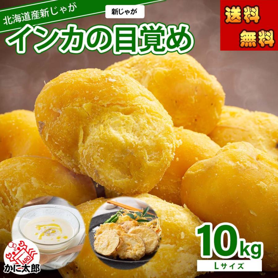 送料無料) Lサイズ 北海道産 じゃがいも インカのめざめ 大型 送料無料) Lサイズ 北海道産 じゃがいも インカのめざめ 大型