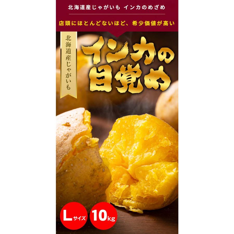 予約商品 送料無料 Lサイズ 北海道産 じゃがいも インカのめざめ 大型
