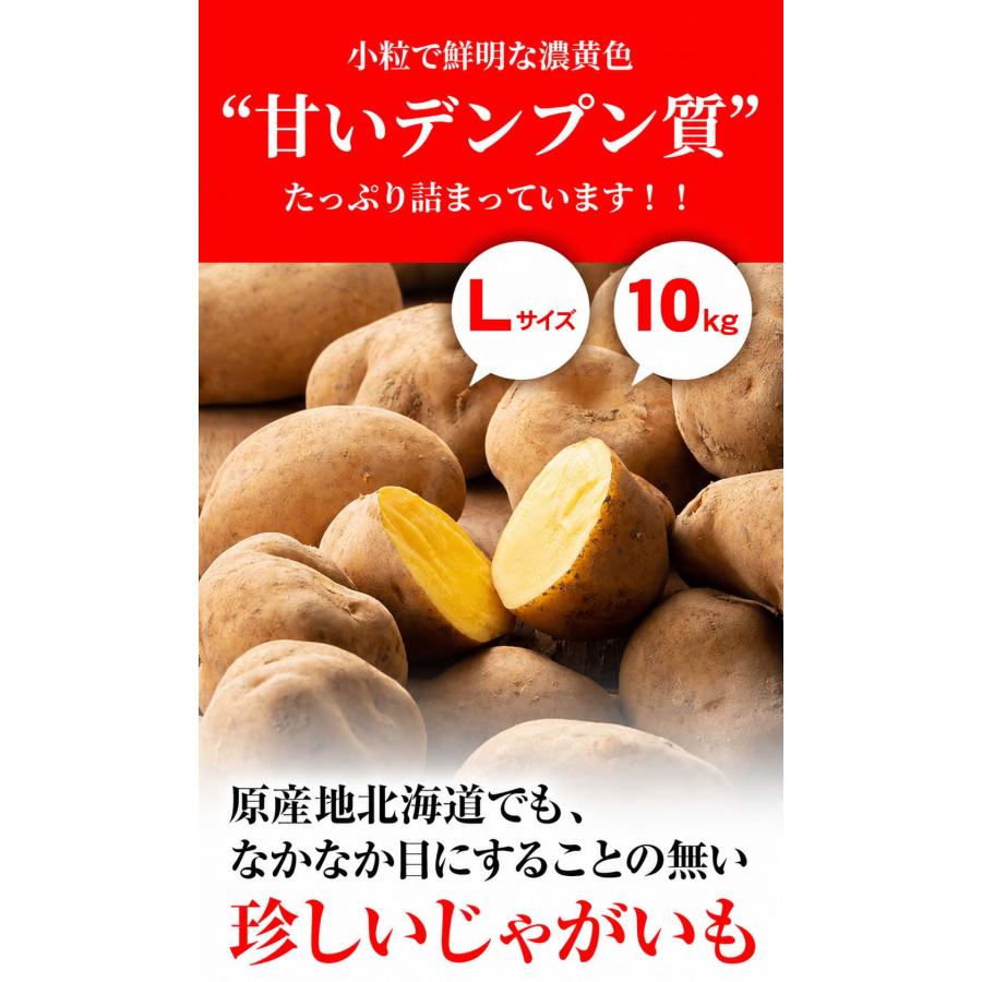 予約商品 送料無料 Lサイズ 北海道産 じゃがいも インカのめざめ 大型