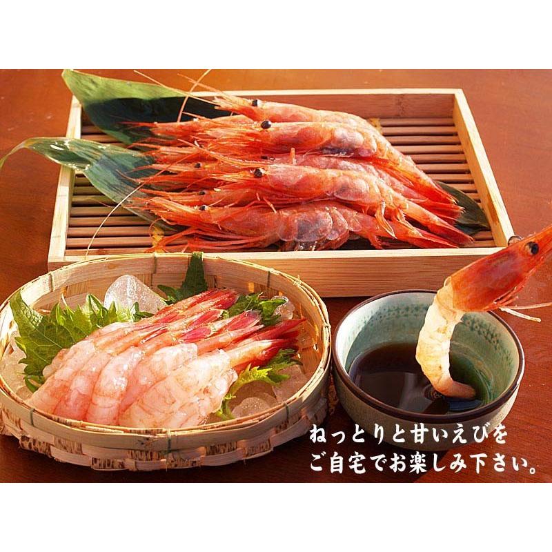 超特大ナンバン海老 冷凍甘エビ 3lサイズ 1kg 50尾前後入り 甘海老のトロける甘み 蝦味噌も絶品 お刺身 お寿司 ギフト かに太郎 通販 Yahoo ショッピング