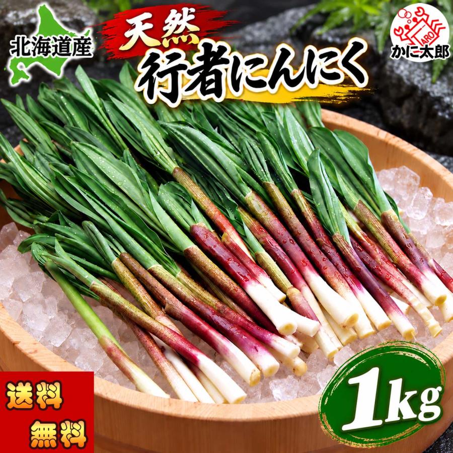 2027年度予約商品 送料無料 北海道 天然 行者にんにく 1kg 野菜 行者