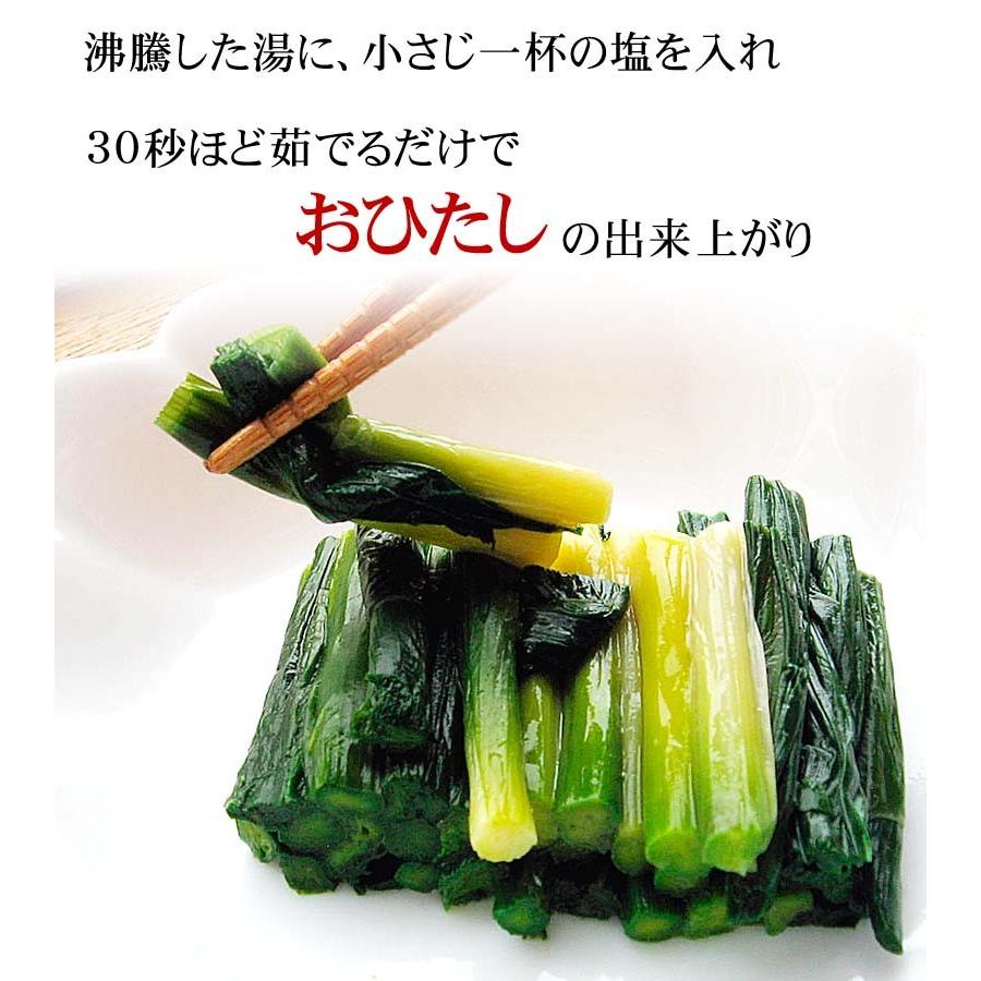 予約商品 送料無料 北海道 春野菜 天然 行者にんにく 1kg 野菜 行者
