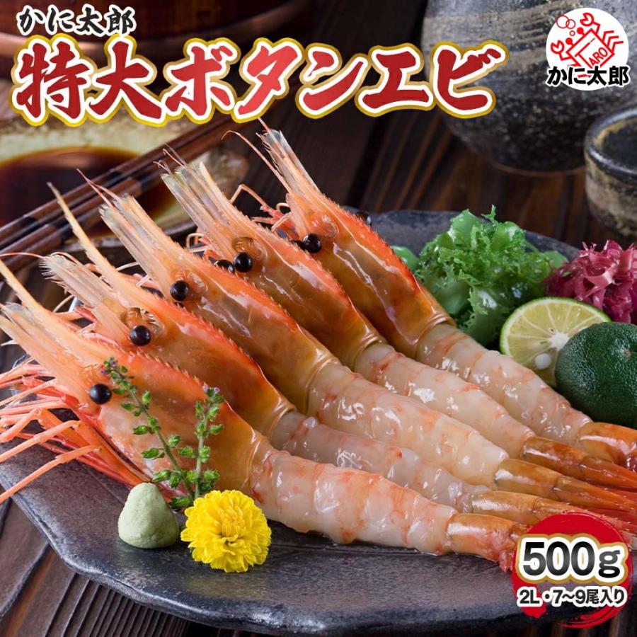 特大 子持ち ぼたんえび 2Lサイズ 500g (7〜9尾入) ボタンエビ 卵 海老