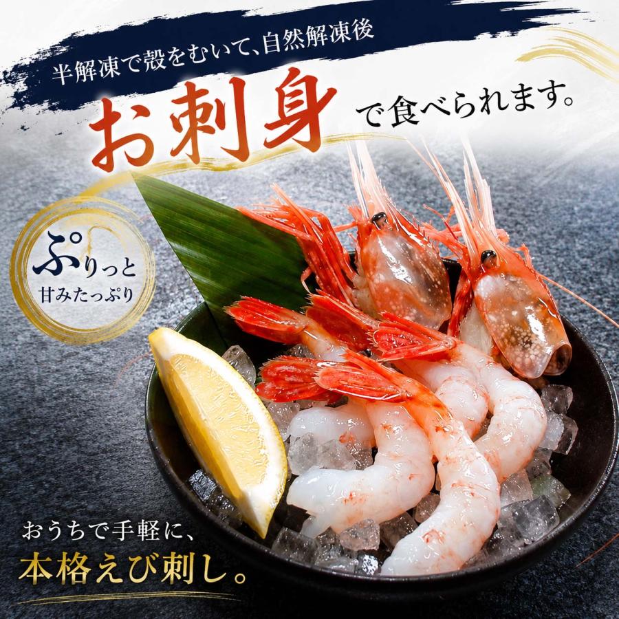 特大 子持ち ぼたんえび 2Lサイズ 500g (7〜9尾入) ボタンエビ 卵 海老