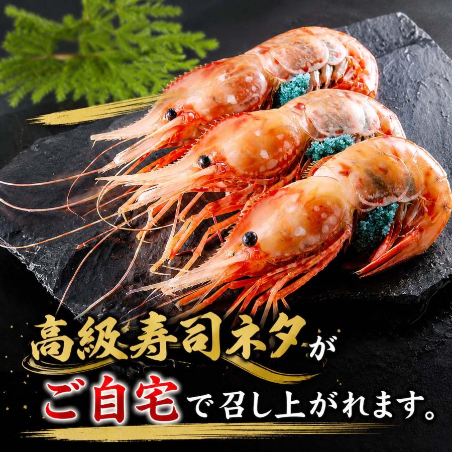 ぼたんえび様 特大 子持ち ぼたんえび 2Lサイズ 500g (7〜9尾入) ボタンエビ 卵 海老