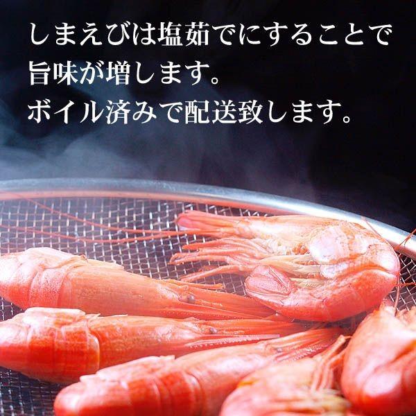 未冷凍 北海シマエビ ｌサイズ 500ｇ前後 30尾入り 北海道産 しまえびは海老味噌も美味しく食べられます 北海道産の貴重な縞海老です かに太郎 通販 Yahoo ショッピング